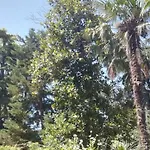 Apartamento Etna Mare Jonio