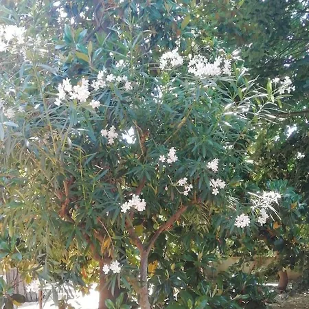 Etna Mare Jonio Daire Giarre