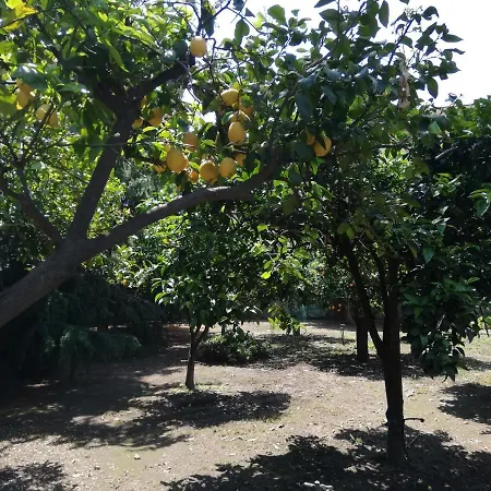 Etna Mare Jonio Apartment Giarre