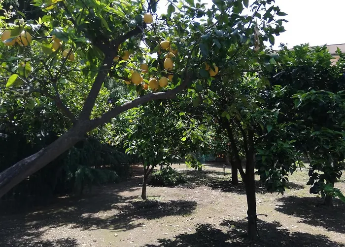Etna Mare Jonio Apartment Giarre