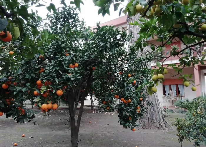 Etna Mare Jonio Apartment